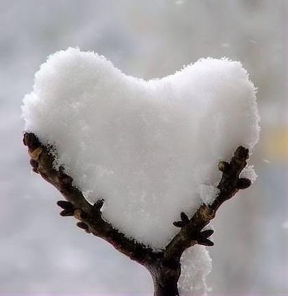 cuore_di_neve.jpg
