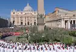 san_pietro_palme_2010.jpg